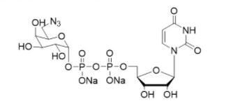 尿苷-5'-二磷酸-D-6-三氮半乳糖二鈉鹽