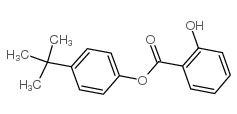 水楊酸-4-叔丁基苯酯