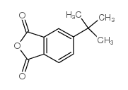 4-叔丁基鄰苯二甲酸酐