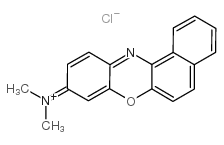 新藍R