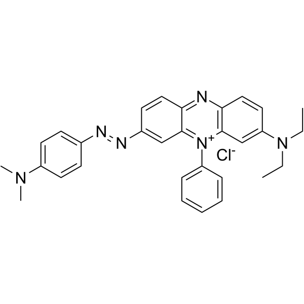 健那綠 B